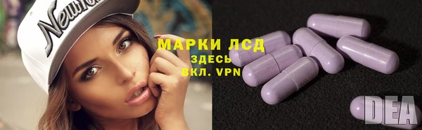 шишки Бронницы