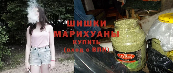 шишки Бронницы