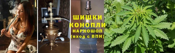 крисы Бугульма