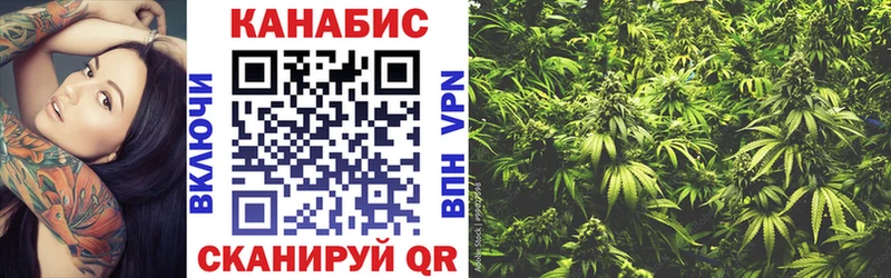 Купить где  Неман  Конопля White Widow 